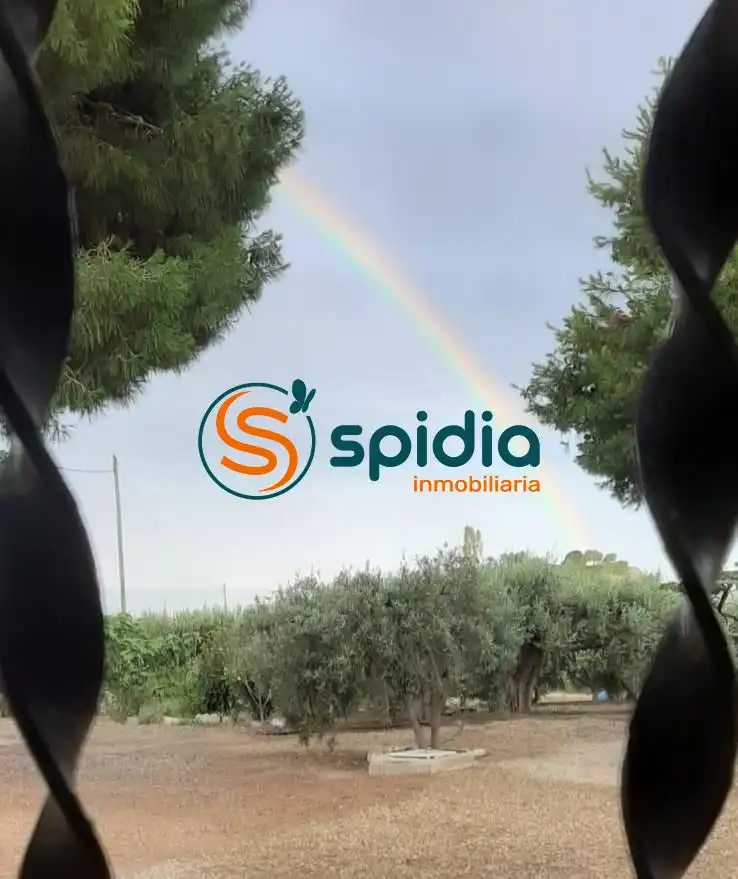 Casa rustica con giardino in vendita a Calabardina, imagen 29