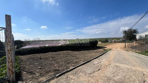 Foto 3 de Residencial en venta en Usanos, Guadalajara Capital