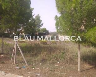 Land for sale in Sant Llorenç des Cardassar