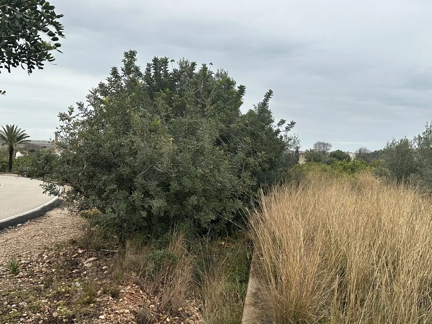 Terreno rustico in vendita a Pego, imagen 19