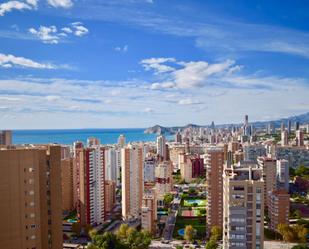 Vista exterior de Apartament en venda en Benidorm amb Parquet i Piscina comunitària