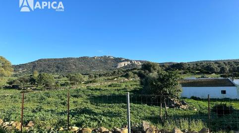 Foto 4 de Terreno en venta en Facinas, Cádiz
