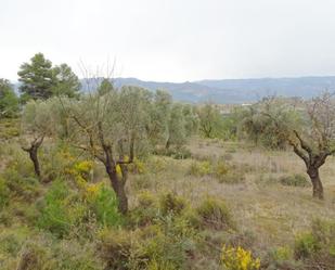 Finca rústica en venda en Lledó