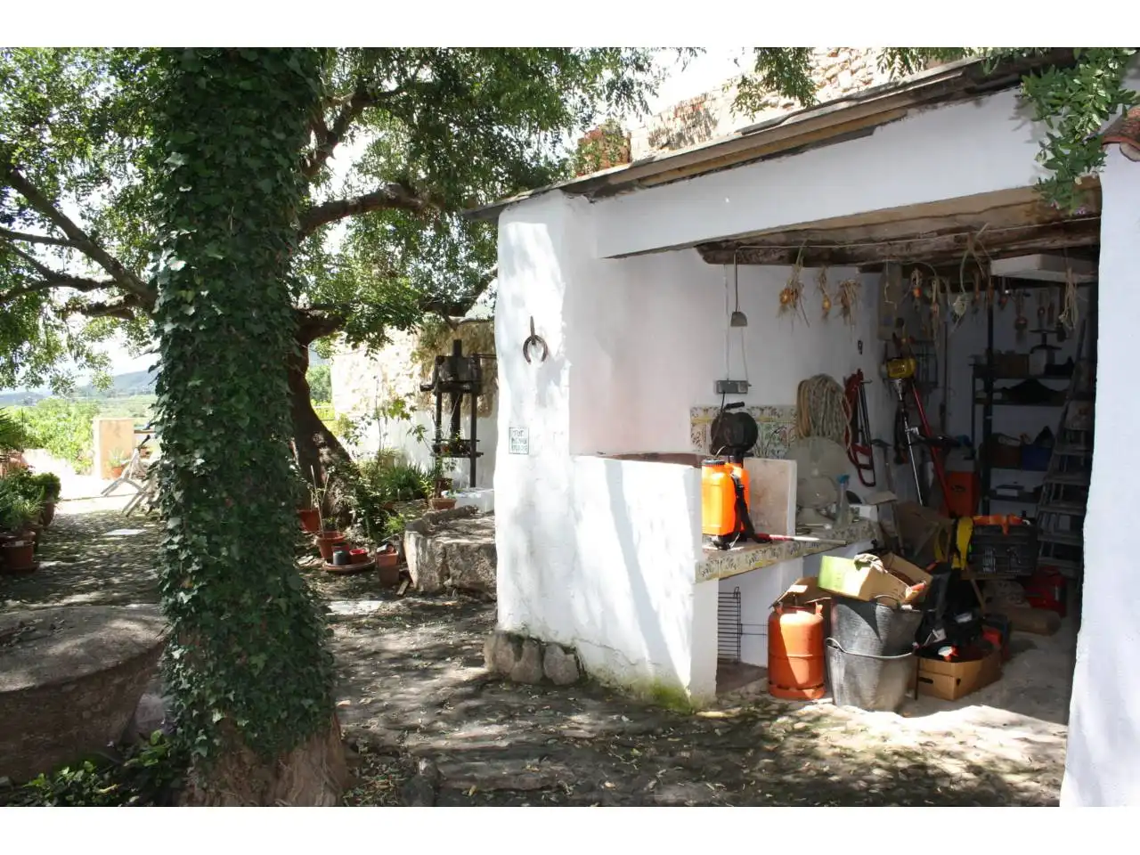 Jardín de Casa o chalet en venta en Pinet con Jardín privado