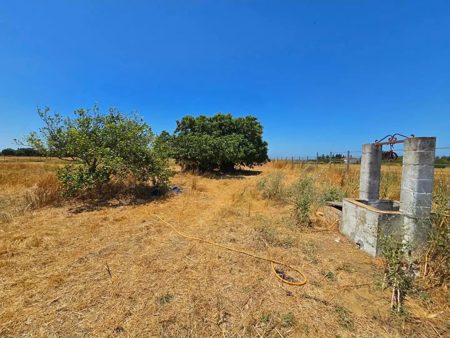 Terreno residenziale in vendita a Pelagatos - Pago del Humo, imagen 3