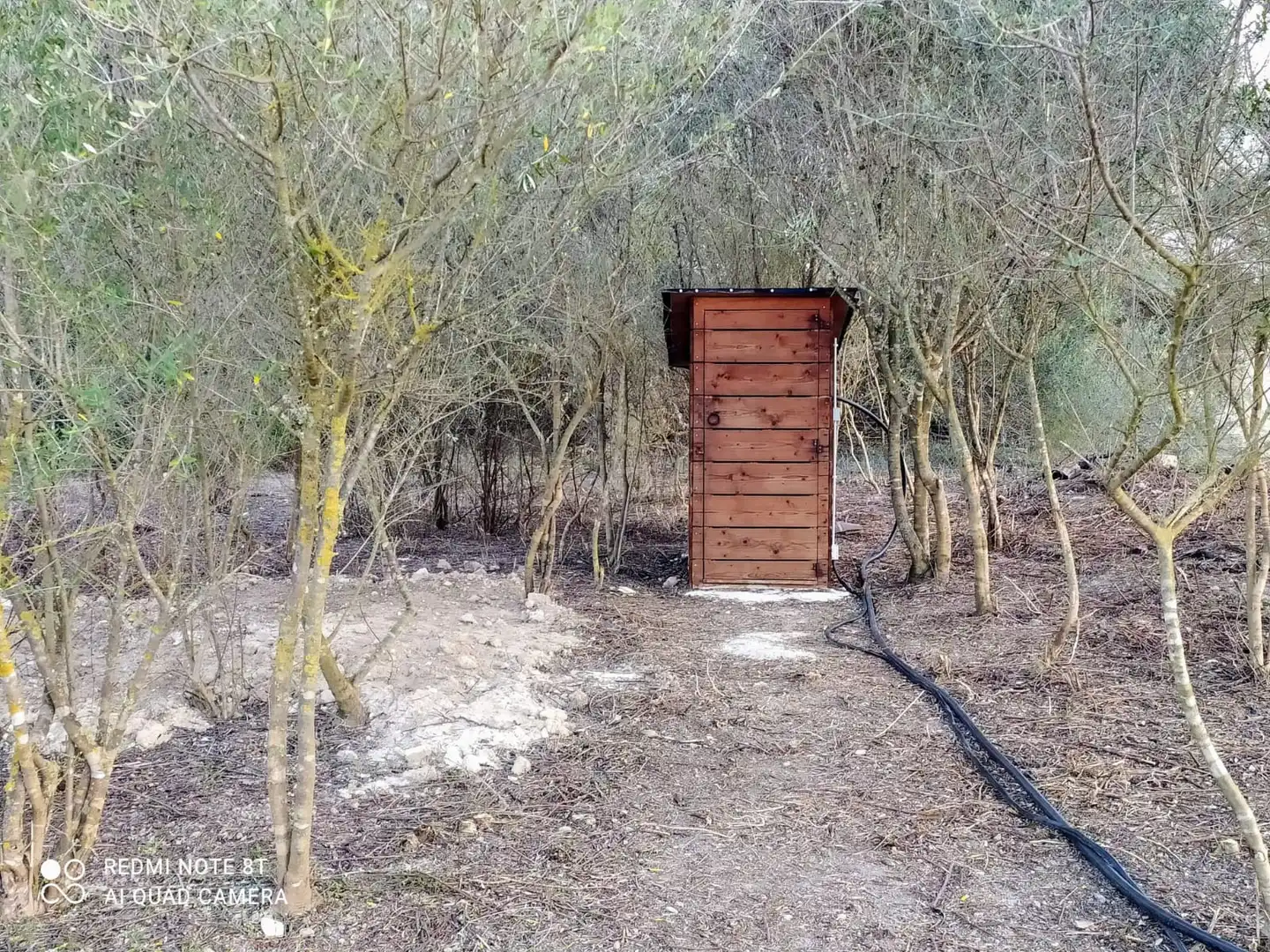 Terreno rústico en venta en Porreres, imagen 14