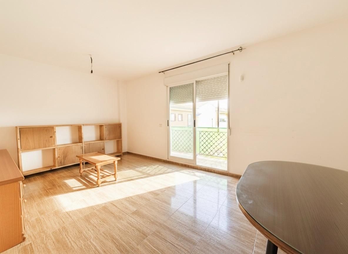 Sala d'estar de Pis en venda en Láchar amb Terrassa, Traster i Balcó