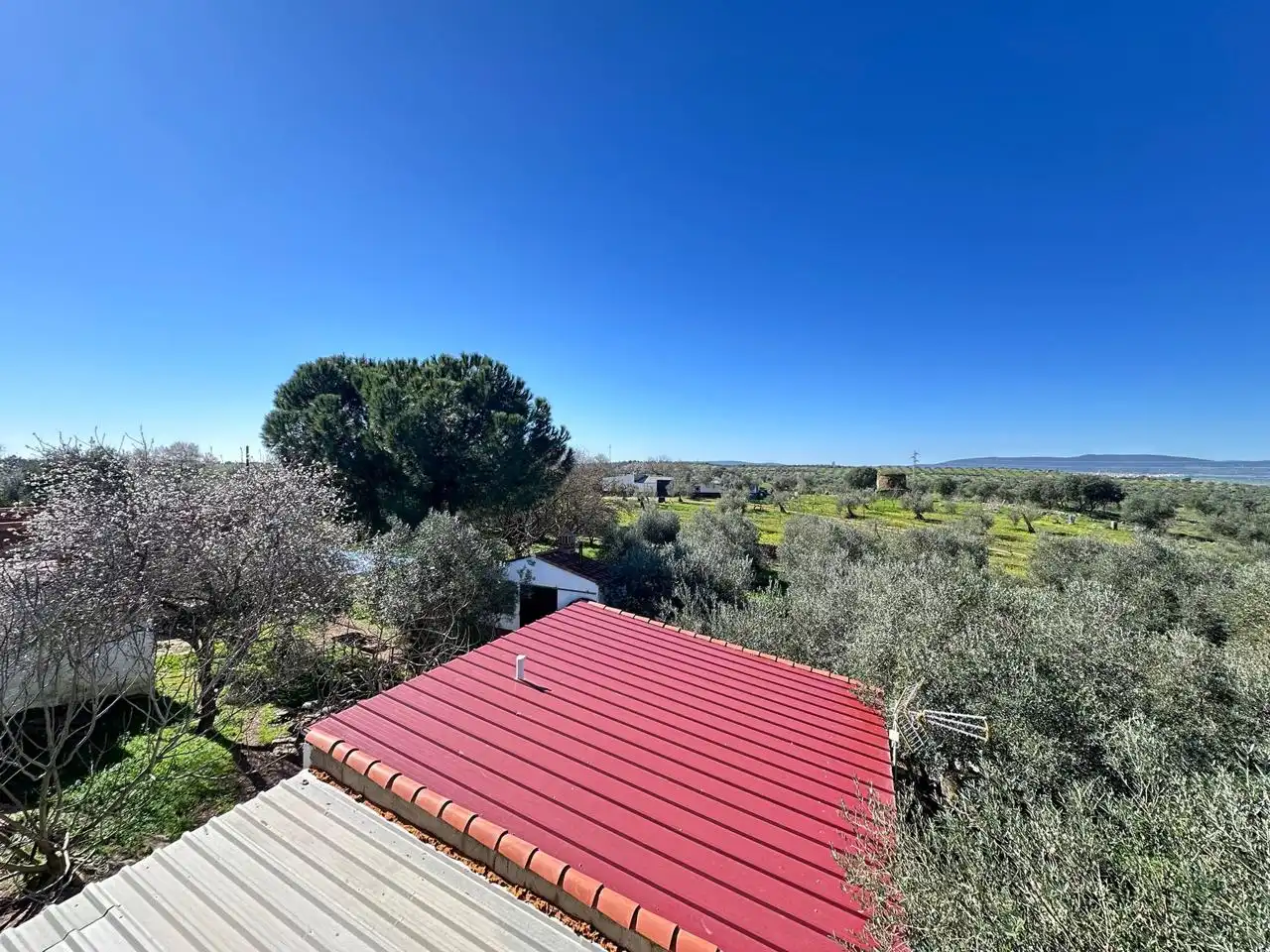 Casa o chalet en venta en Puebla de Sancho Pérez