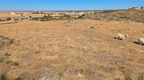 Foto 4 de Terreny en venda a Carretera Mata de Alcantara, 2, Villa del Rey, Cáceres