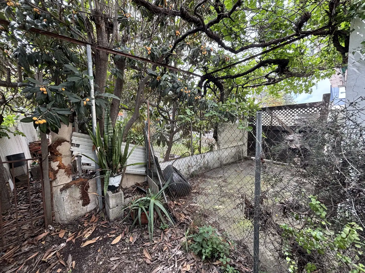 Jardín de Edificio en venta en Dénia