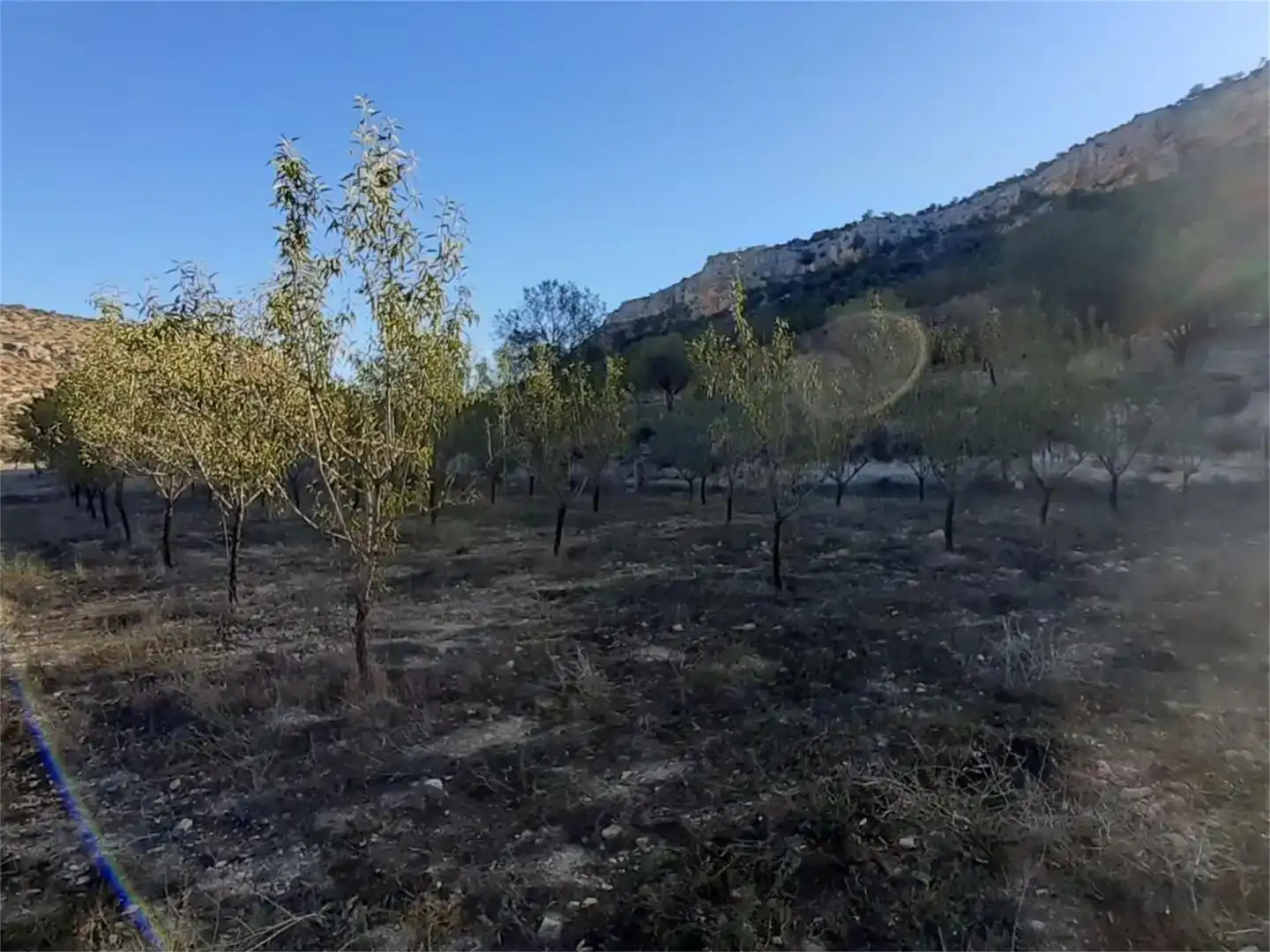 Terreno en venta en Algar de Mesa, Guadalajara