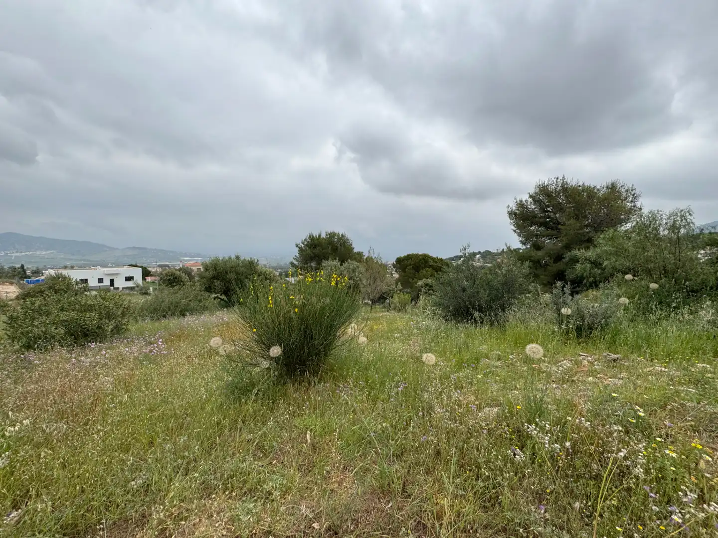 Terreni e lotti in vendita a Pinos de Alhaurín - Periferia, imagen 3