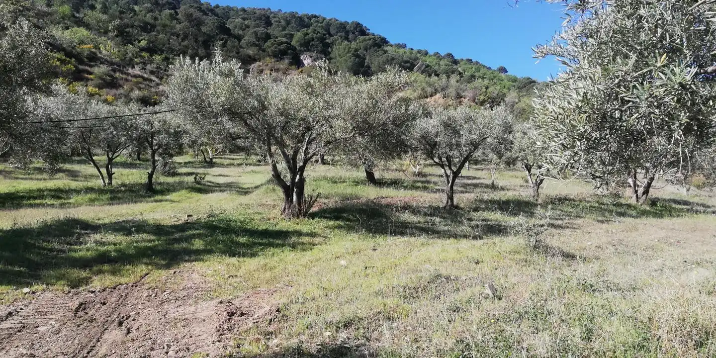 Casa rústica en venta en El Pinar, imagen 22