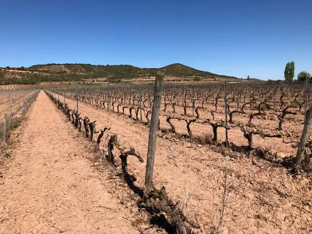 Rustikales Grundstück zum Verkauf in Navarrete, imagen 3