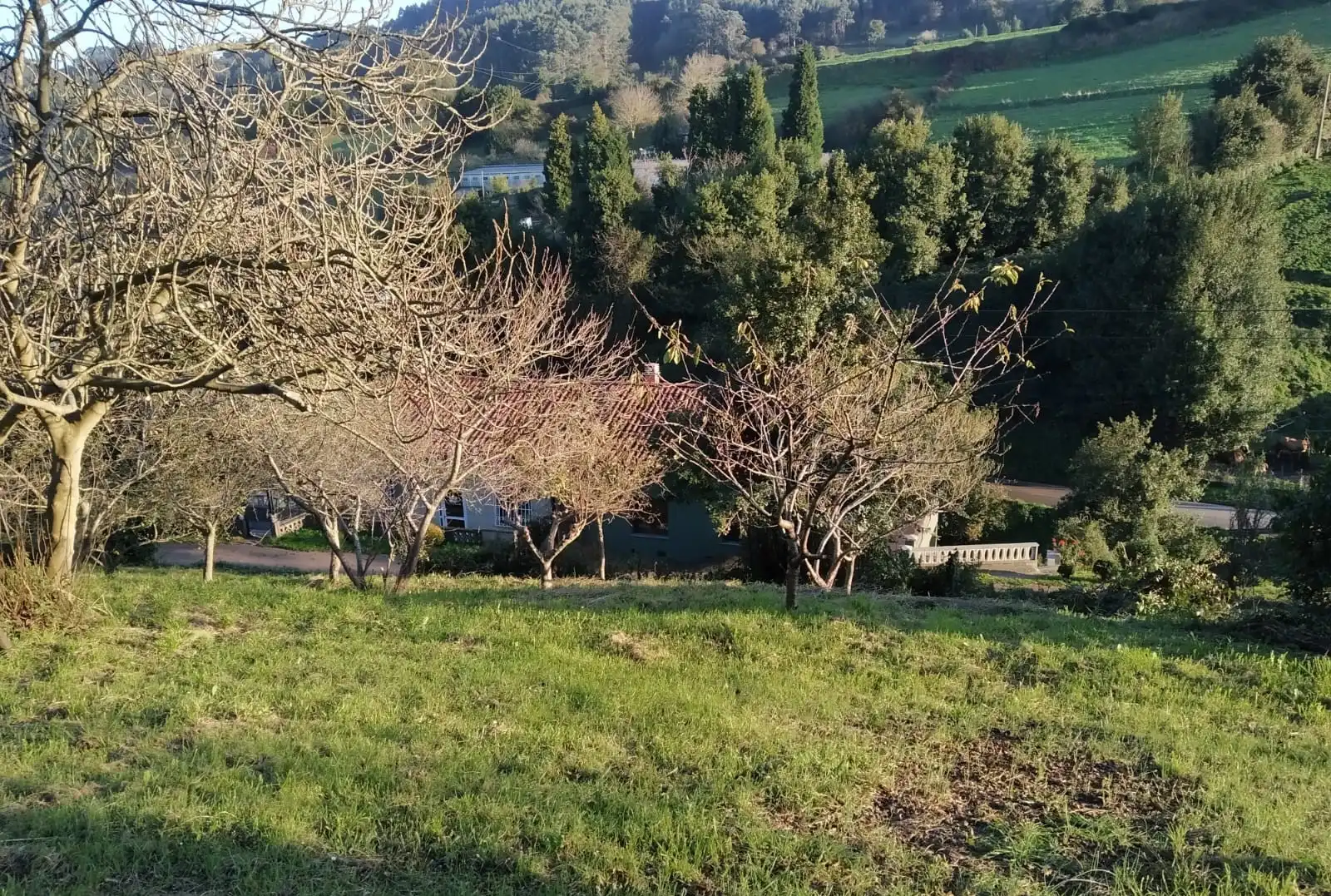 Terreny residencial en venda a Carreño, imagen 12