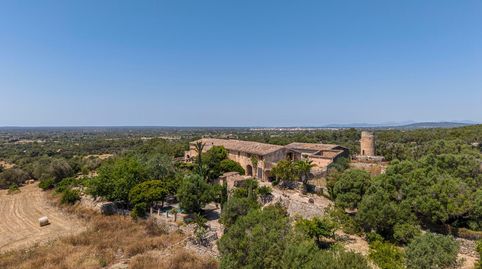 Posesión mallorquina con vistas a la isla de Cabrera con 40 hectáreas de terreno