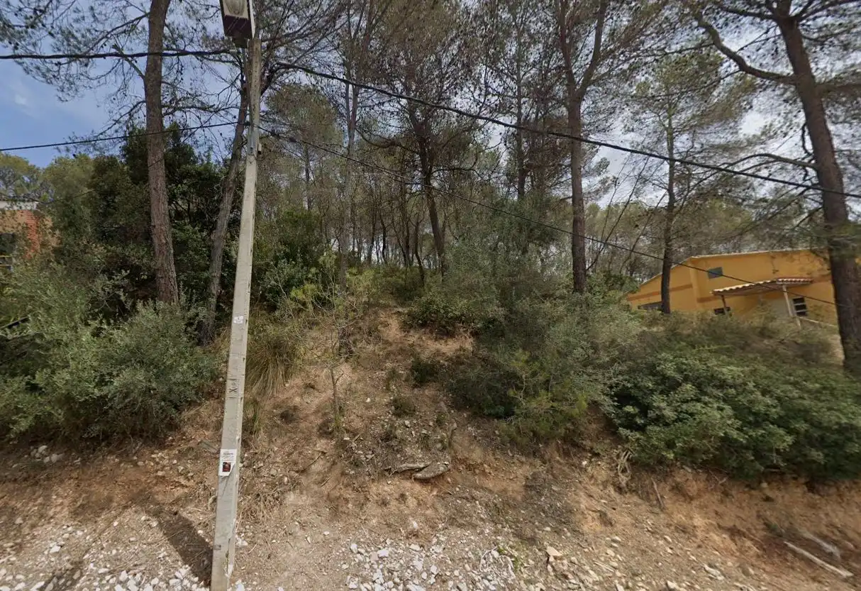 Rural land for sale in C/ Calle Olivera De L´ (Can Suria), imagen 7