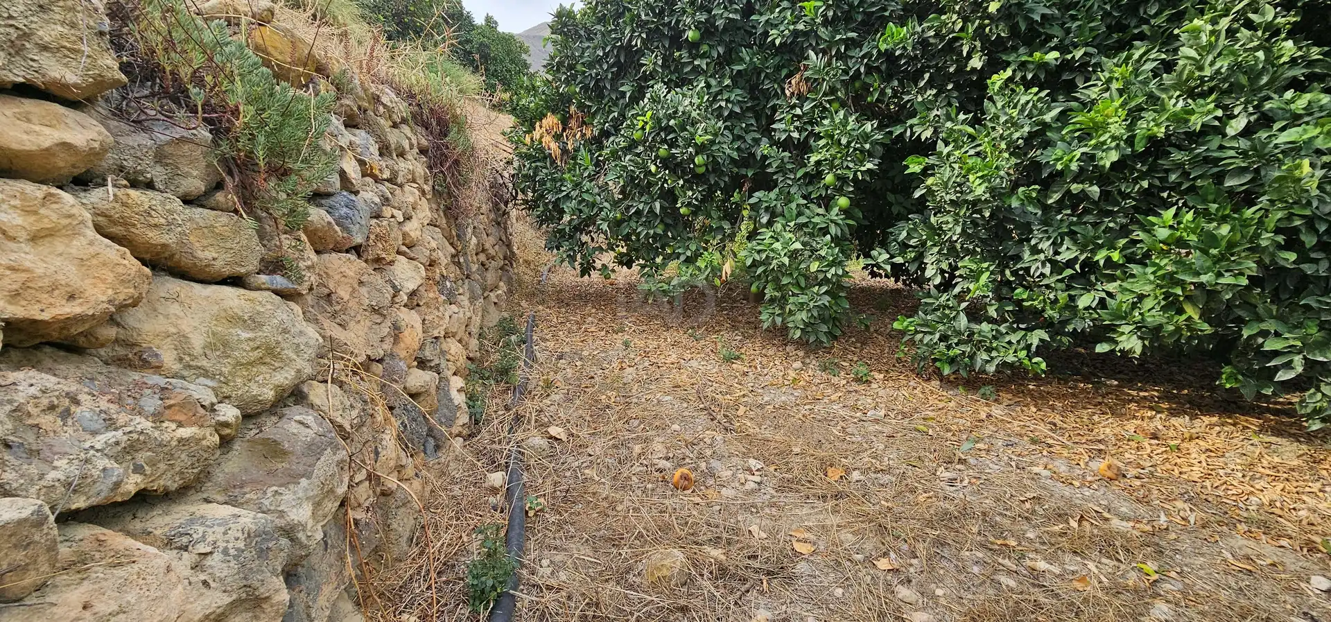 Residencial en venta en Íllar