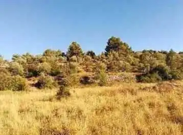 Terrain rustique à vendre à C/ Camp Santa Cana, imagen 7