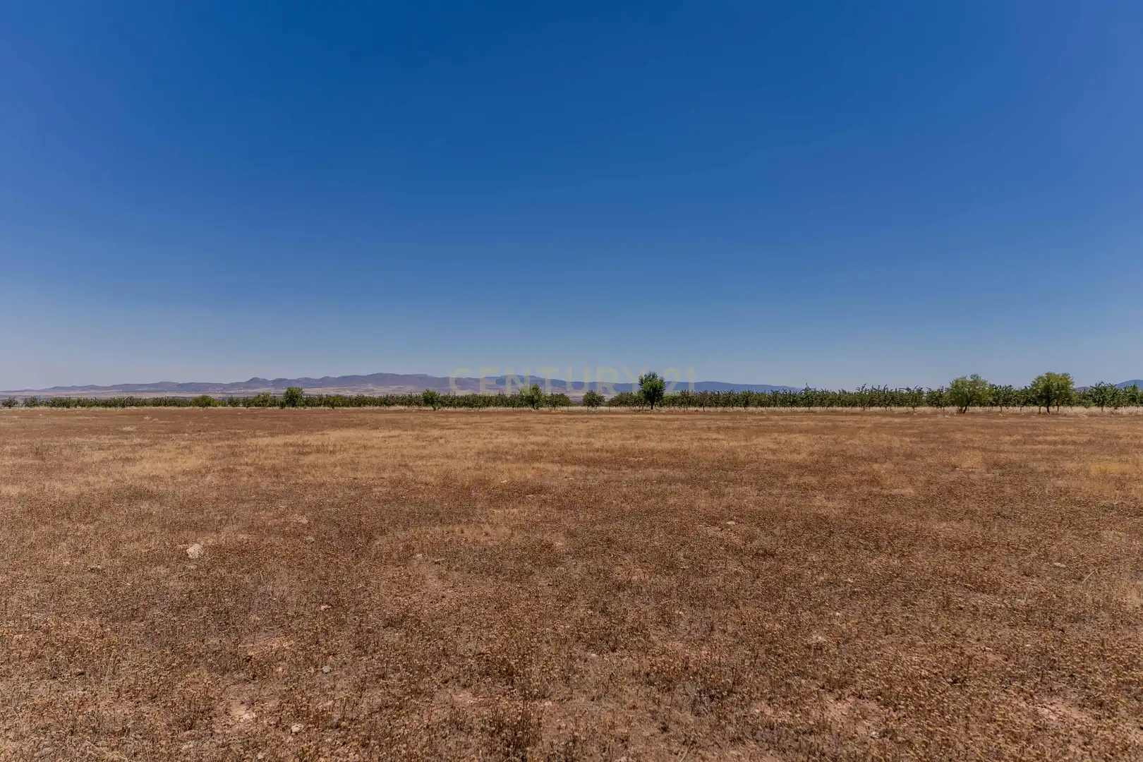 Terreno en venta en Cogollos de Guadix