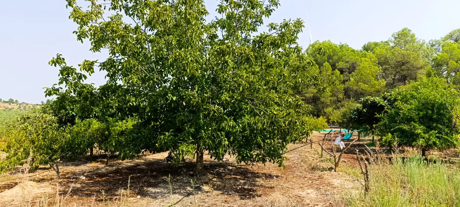 Residencial en venda en Vilalba dels Arcs