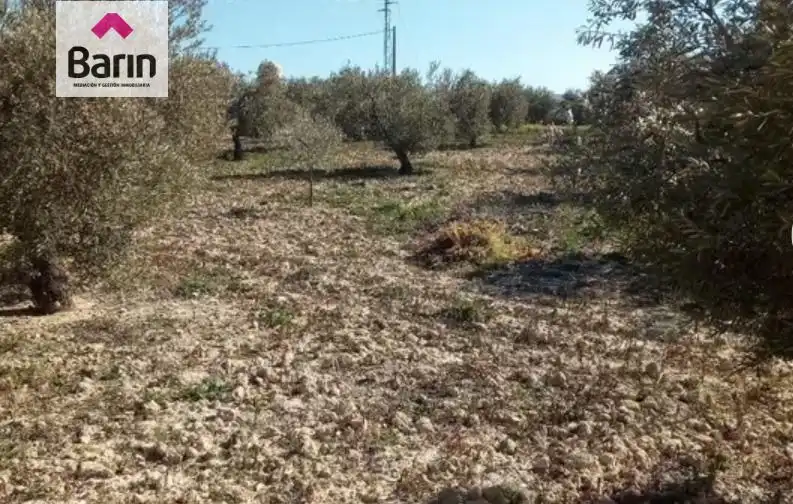 Casa o xalet en venda en La Guijarrosa amb Traster i Piscina comunitària
