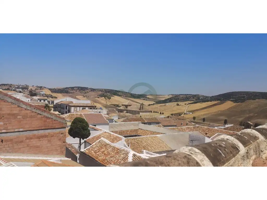 Vista exterior de Finca rústica en venta en Cañete la Real