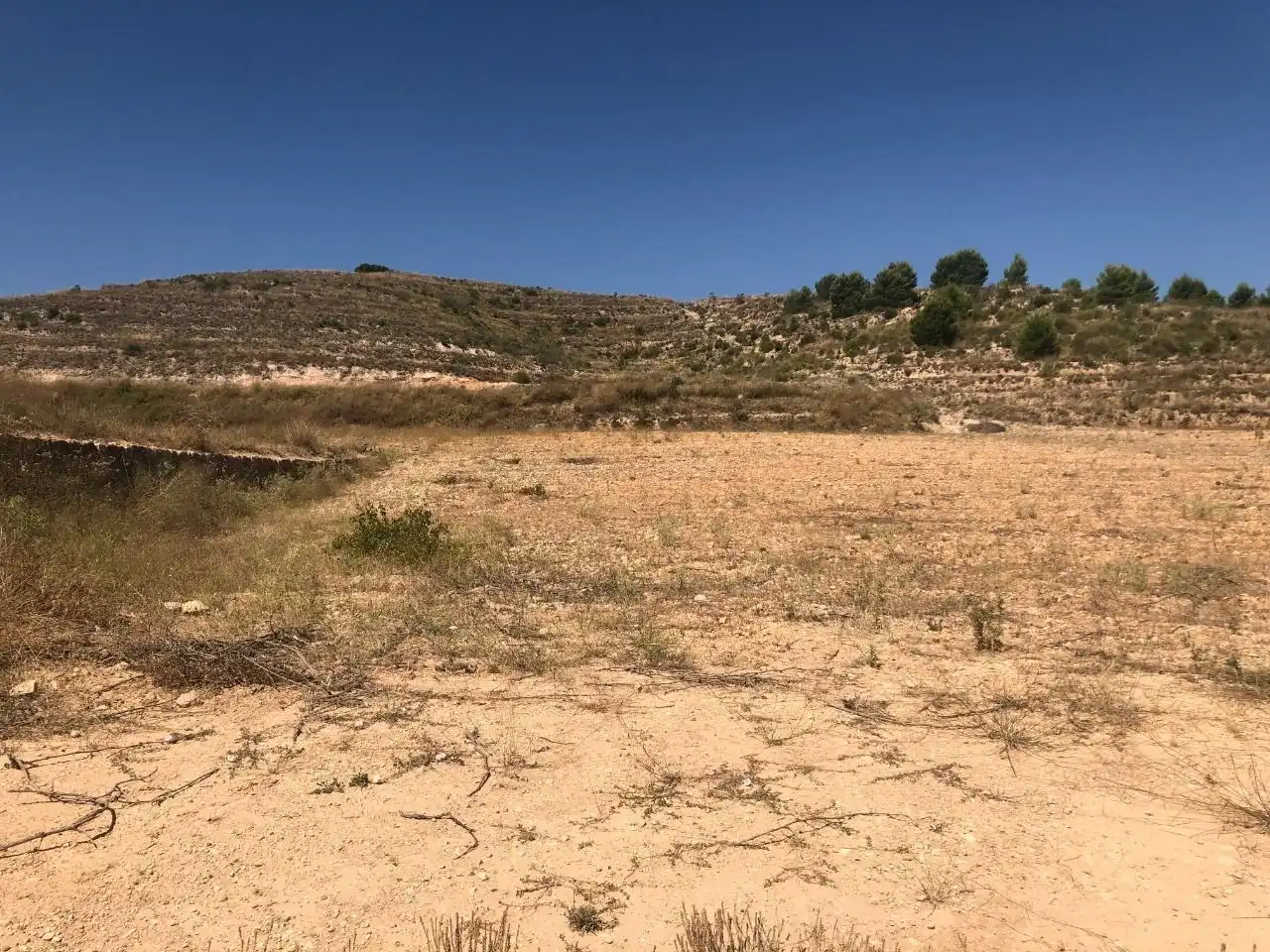 Lands and plots for sale in Abanilla, imagen 8