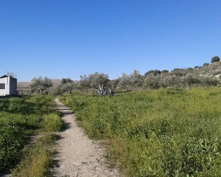 Terrenys i solars en venda a Espera, imagen 4