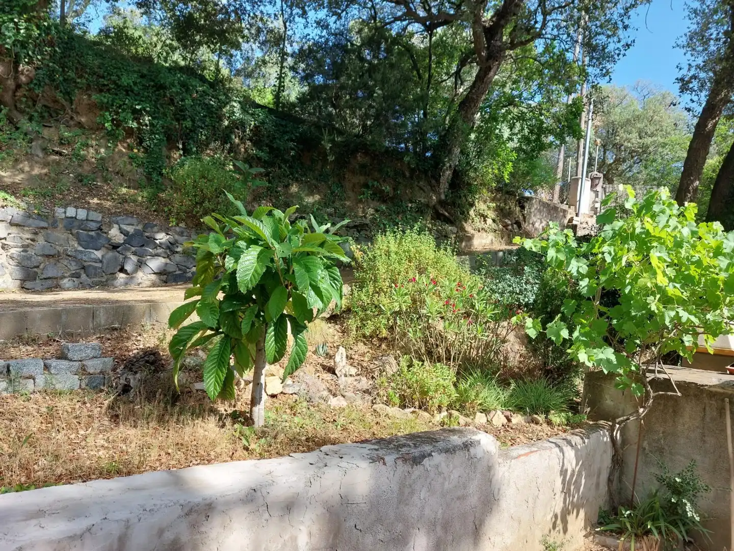Terreno rustico in vendita a Tordera pueblo, imagen 14