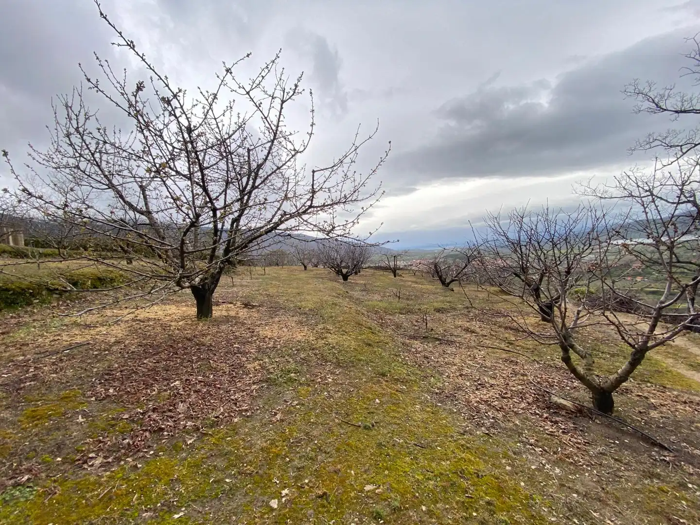 Terreni e lotti in vendita a Hervás, imagen 15