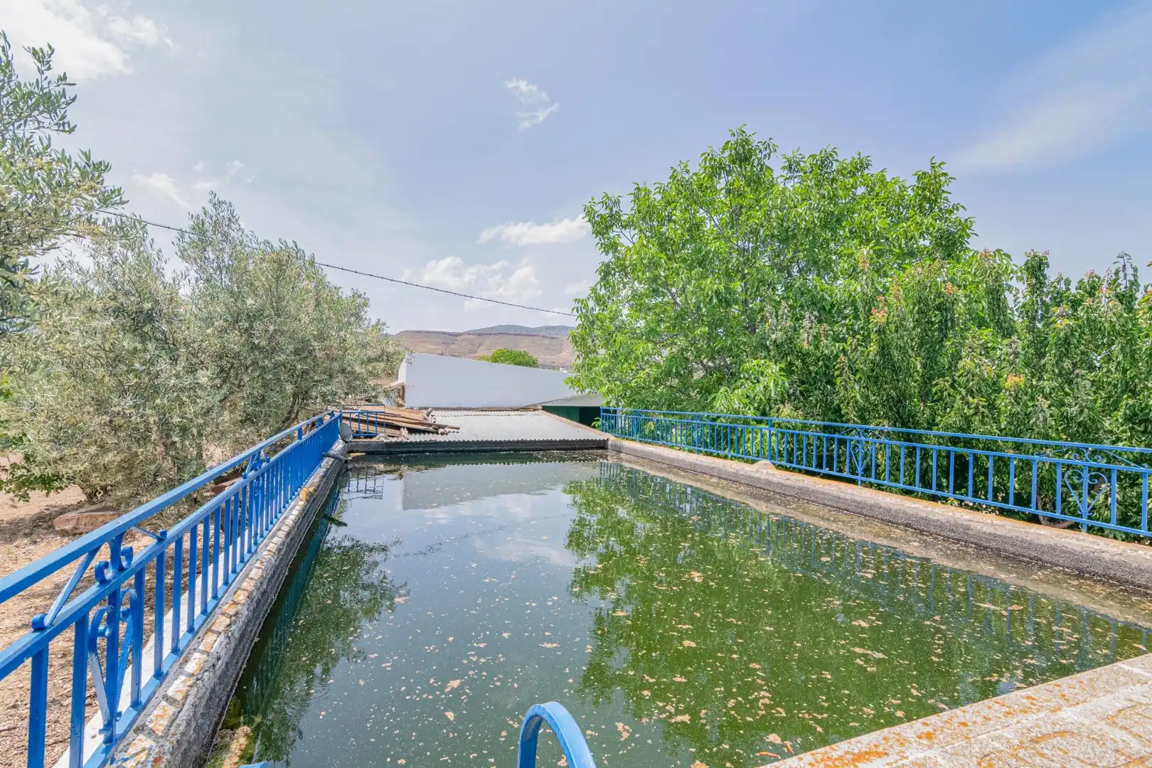 Piscina de Casa o chalet en venta en Baza con Aire acondicionado, Calefacción y Jardín privado