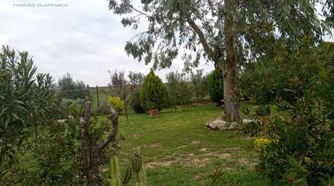 Photo 4 of Houses for sale in Subirats, Barcelona