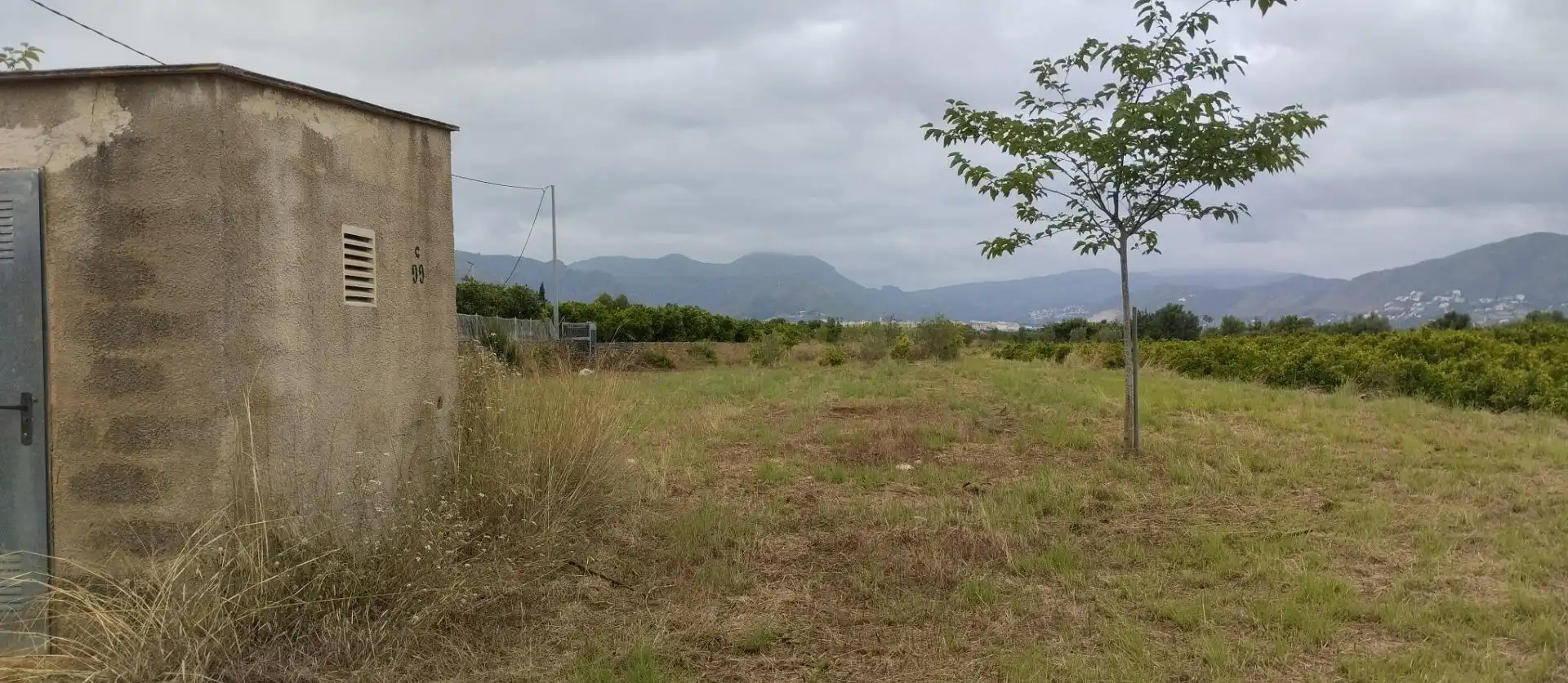 Rural land for sale in Pego, imagen 8