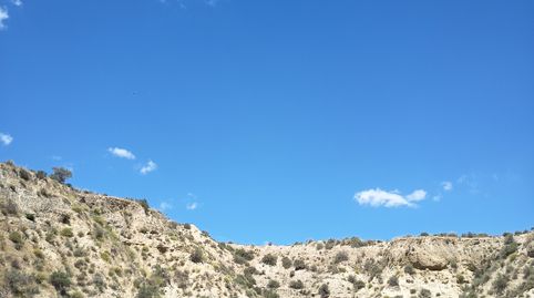 Magnífica finca en Terque., immagine 5