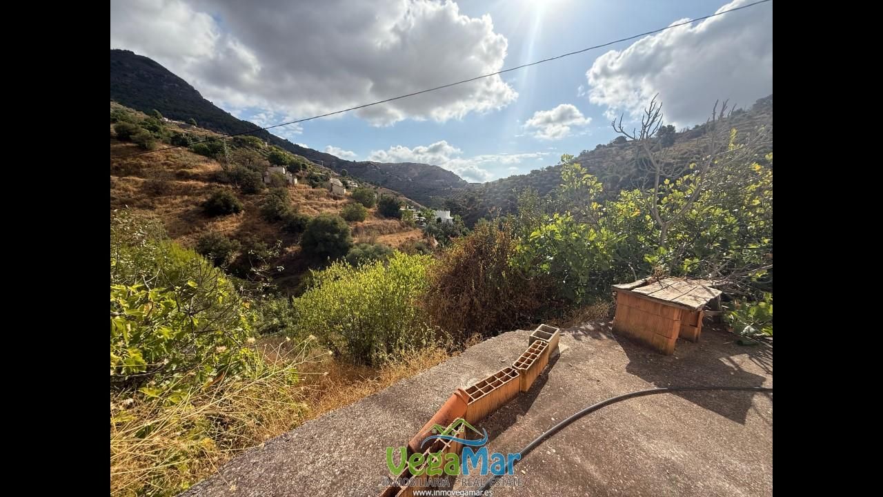 Vista exterior de Finca rústica en venta en Almuñécar con Jardín privado y Terraza