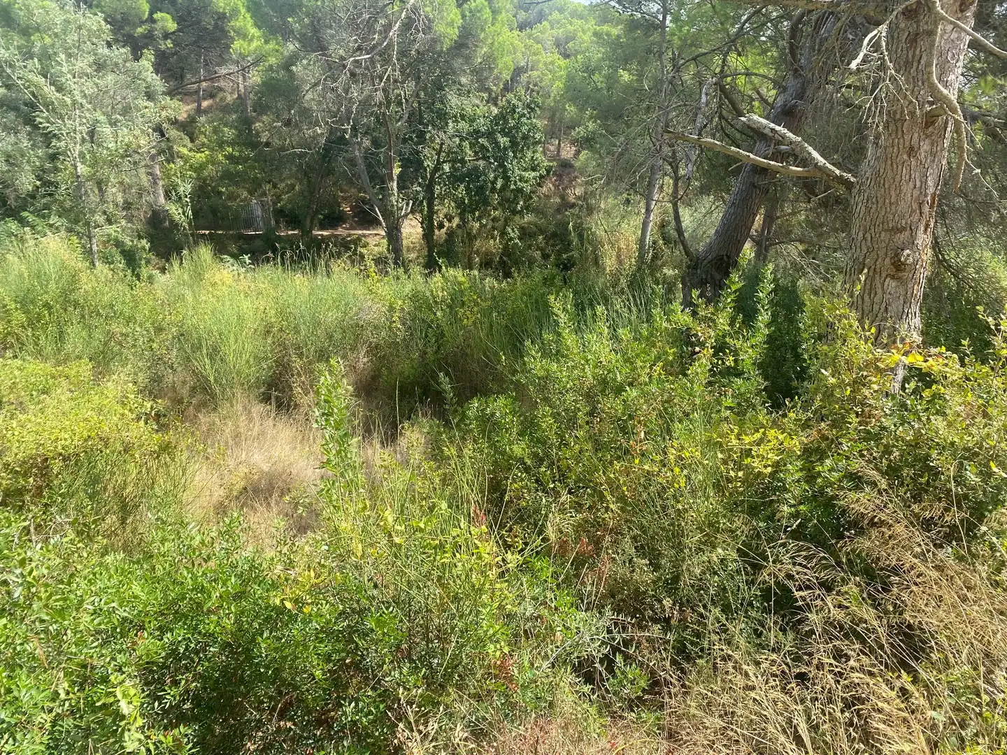 Grundstücke und Bauplätze zum Verkauf in Sant Joan - Vilarromà, imagen 3