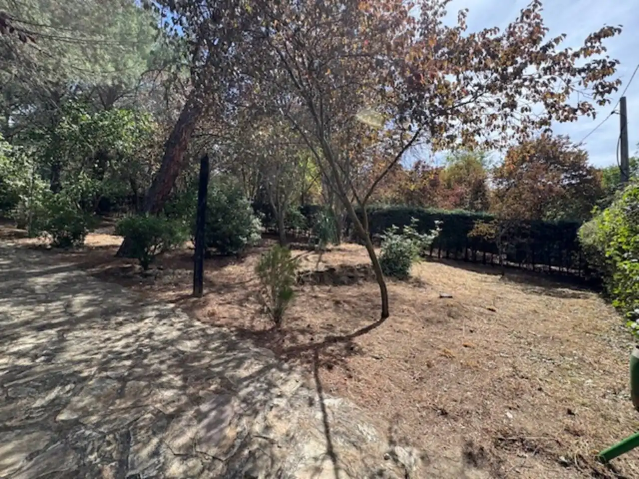 Jardín de Casa o chalet en venta en Villavieja del Lozoya con Calefacción, Terraza y Piscina