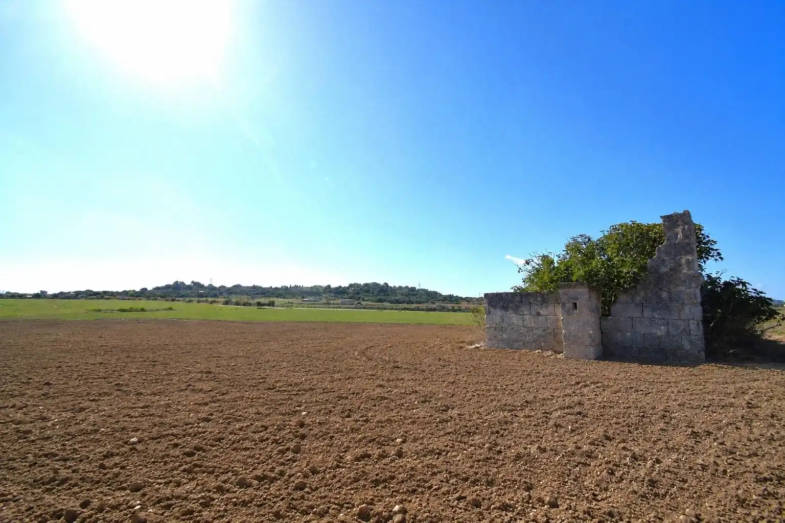 Rural land for sale in Muro, imagen 15