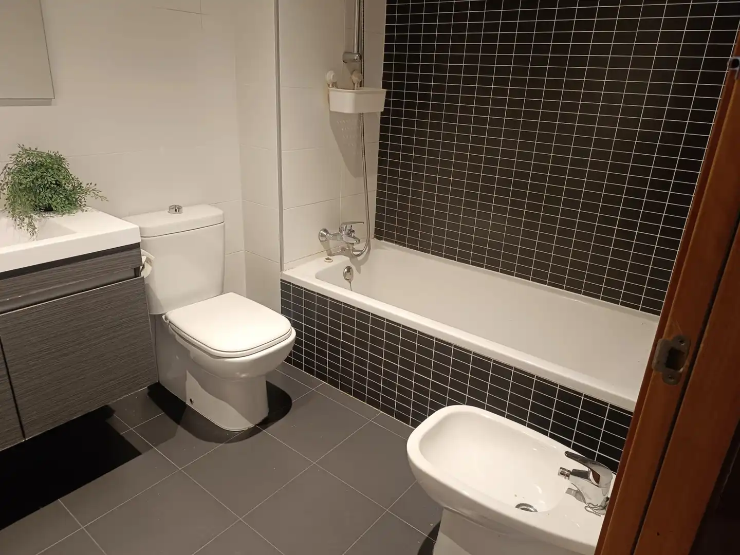 Flat for rent in Nou Eixample Sud