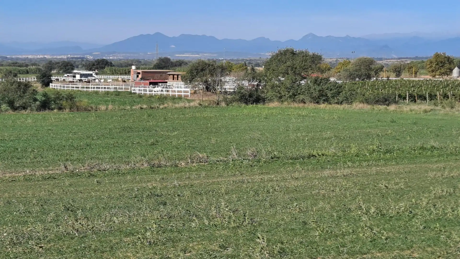 Terrenos y solares en venta en Palau-saverdera, imagen 5
