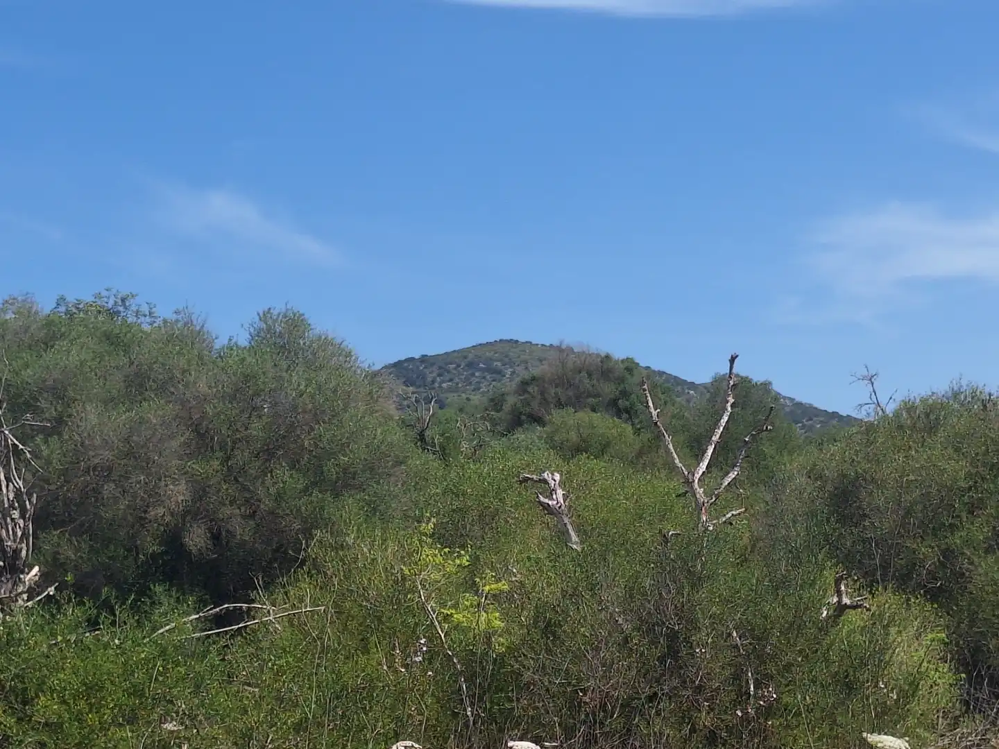 Rural land for sale in Sant Llorenç des Cardassar, imagen 7