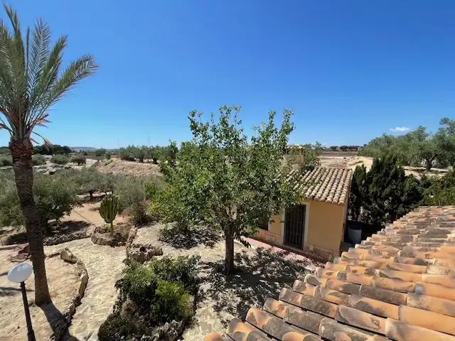 Houses for sale in Calle Partida del Raspeig, Villamontes - Boqueres