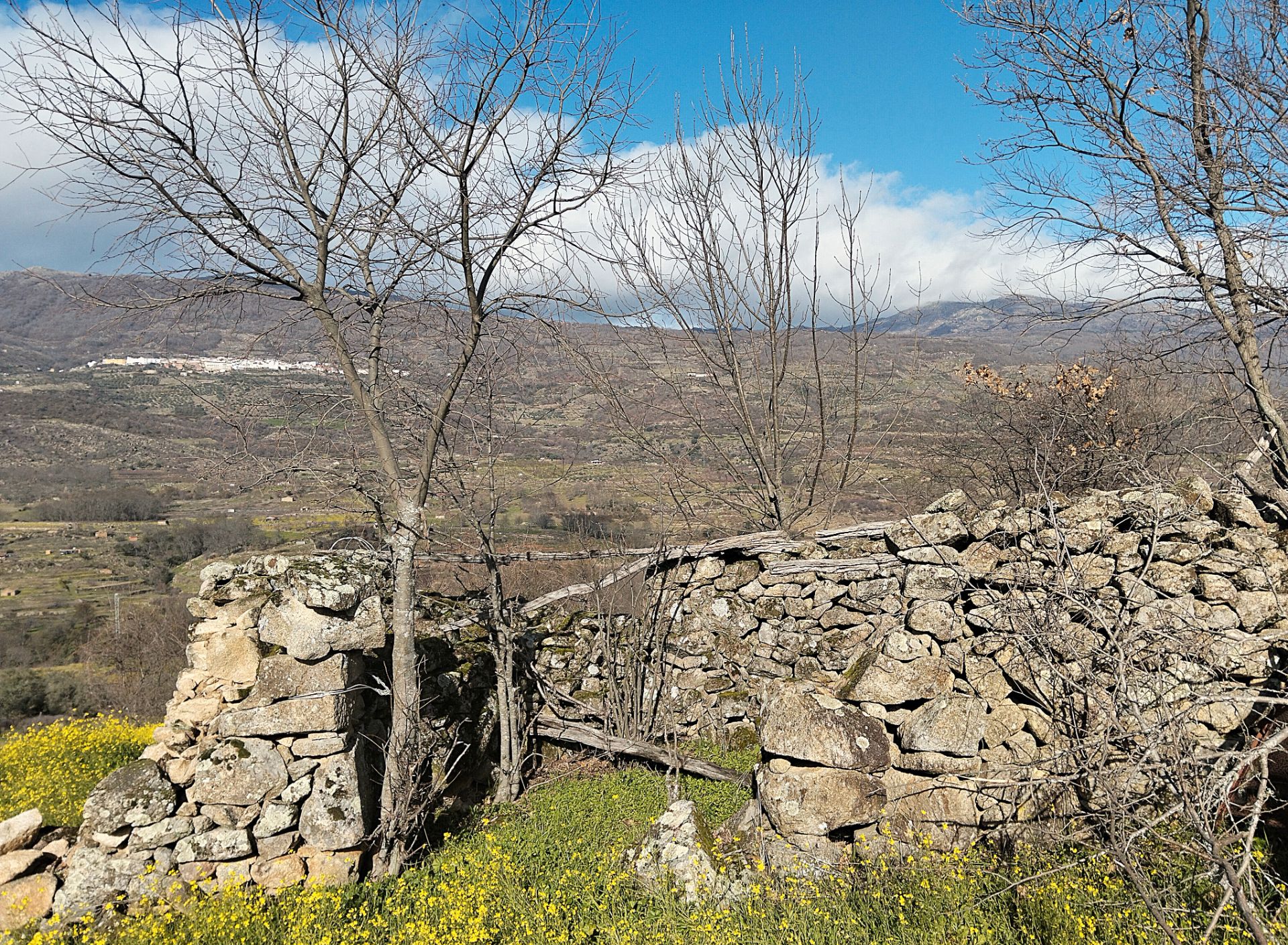Land for sale in Casas del Castañar