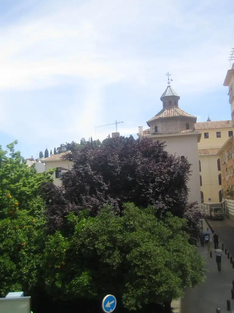 Jardí de Pis de lloguer en Granada amb Aire condicionat, Forn i Rentadora