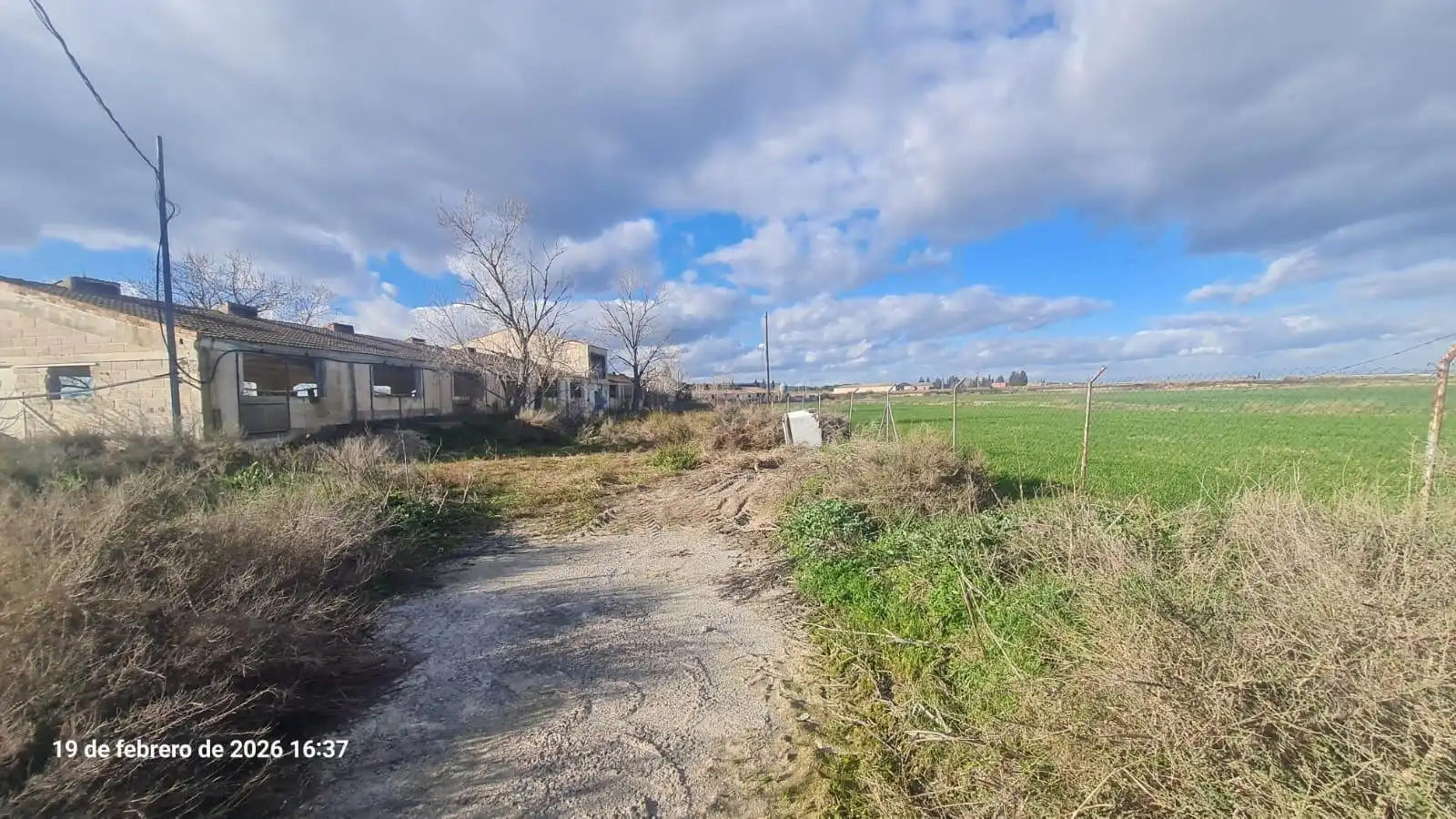 Land for sale in Tauste