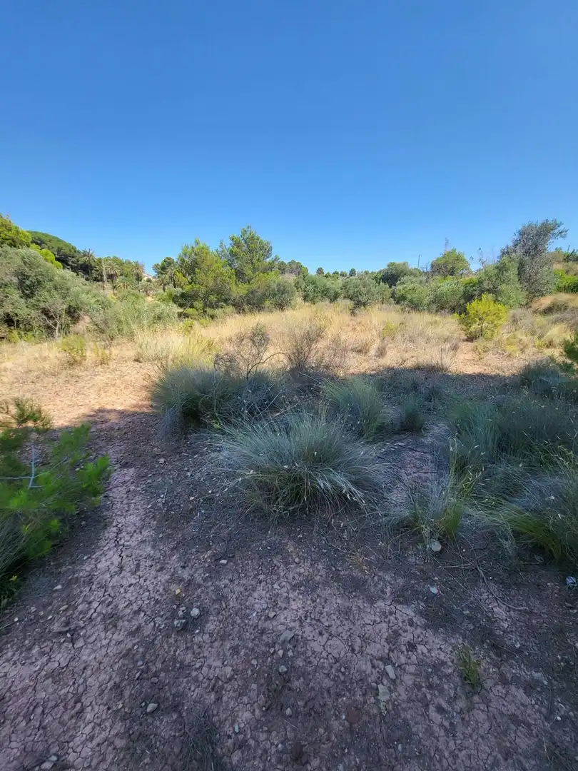 Terreny residencial en venda a San Rafael - Nucia Park, imagen 5