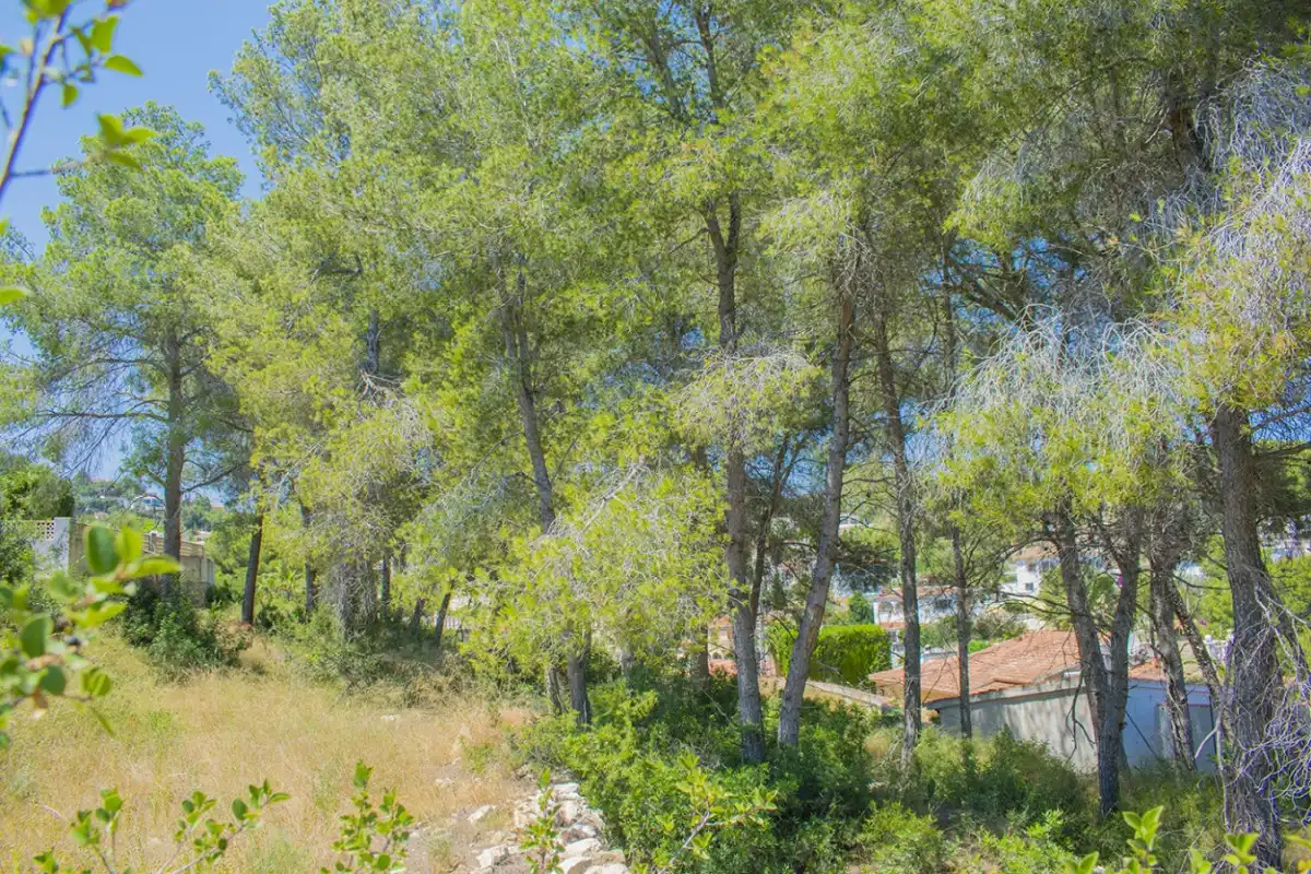 Wohnbaugrundstück zum Verkauf in La Fustera, imagen 28