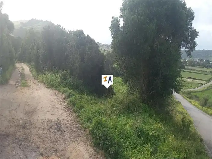 Terreni e lotti in vendita a Barbate ciudad, imagen 16