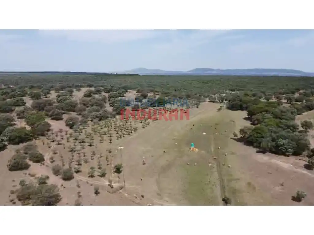 Finca rústica en venda en Talaván